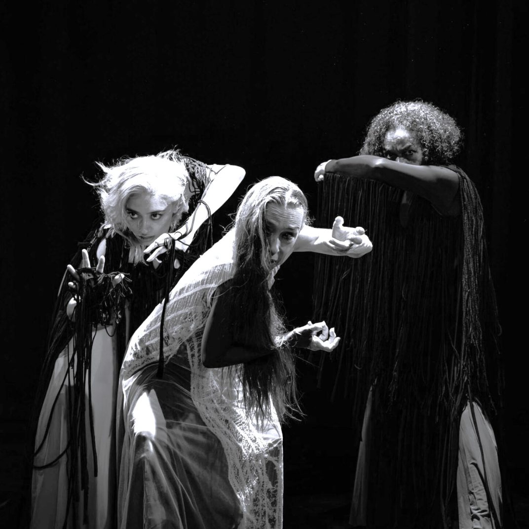 pexels-mikegles-26843116-scaled-1-e1764329557290 11